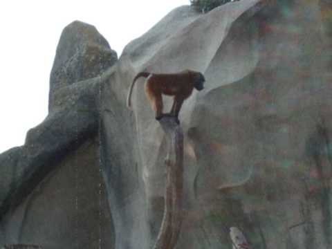 Sven rg it s out of sight