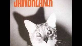 Jawbreaker - Seethruskin