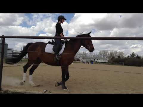 Q’Adeau MW and Emily Spears (Training level test 3) 2021