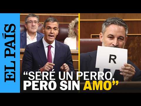 RIFIRRAFE | Sánchez a Abascal: «Yo seré un perro, pero no tengo amo» | EL PAÍS