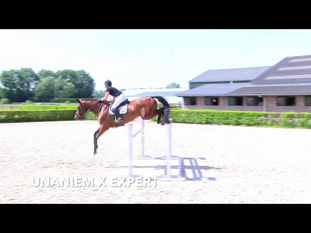 Ferise P Jumping