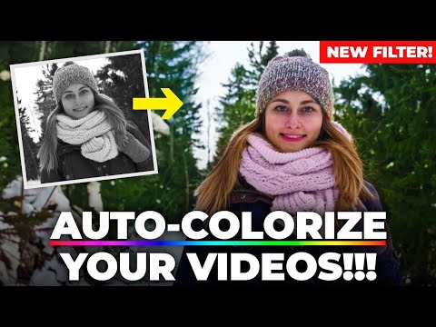 How To Remove Backgrounds In Photoshop For Beginners