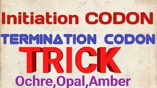 CODON-Tricks(very simple way)start codon,stop codon|| Initiation codon and termination codon trick|