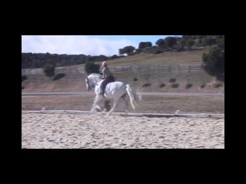 FER BAGO FEBRERO 2014