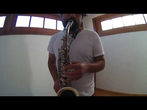 1924 C.G. Conn New Wonder II Chu Berry alto saxophone - recent repad - serial 171*** silver image 26