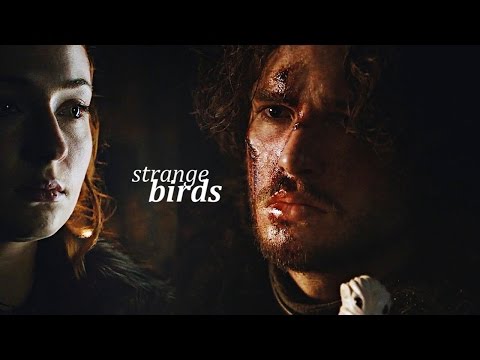 Jon & Sansa | Strange Birds