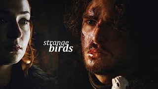 Jon &amp; Sansa | Strange Birds
