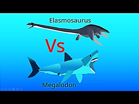 Megalodon Vs Elasmosaurus