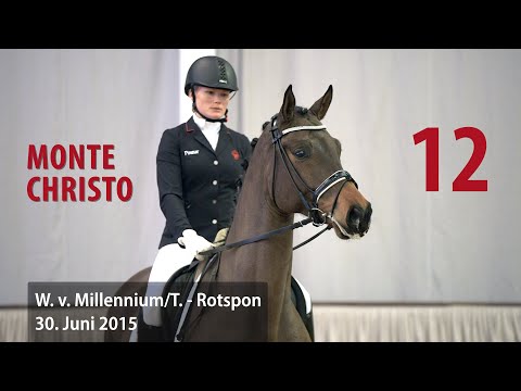 12 Monte Christo Wallach v. Millenium/T. - Rotspon