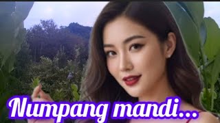 Download lagu NUMPANG MANDI ‼️ album dangdut koplo terbaik audio jernih  mp3