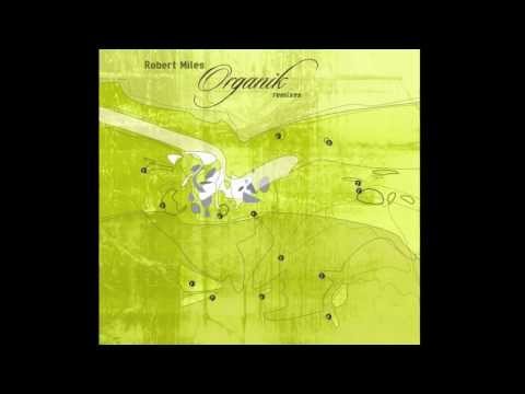 Robert Miles - Paths [Robert Miles Salted Rmx]