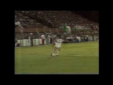 FFC 1 x 1 Botafogo - Campeonato Brasileiro 1995