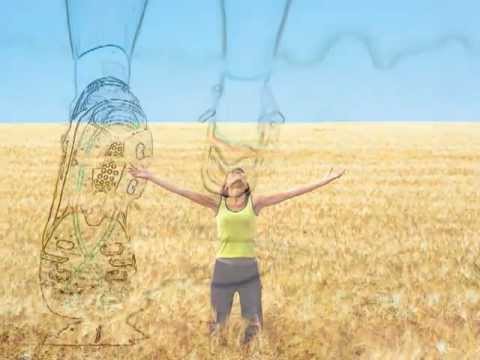 Nomadi La Libertà di volare