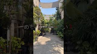 【保存推奨】バンコクど真ん中のチルカフェ‼️#タイ #タイ旅行 #バンコク