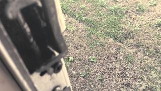 Lloyd - The Question