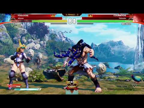 Coupe de France SFV - Demi finale Toulouse vs Courbevoie - Match 6 - Jehosan vs Valmaster