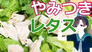 レタスを大量消費！無限に食べれるドレッシングの作り方【料理系VTuber】