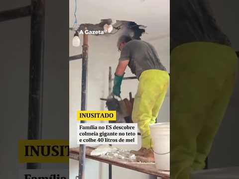 Invasão de ABELHAS: Colmeia toma teto de casa em Pinheiros, ES  #shorts #noticias