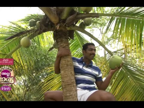 Veruthe Alla Bharya Season 3 | Episode 35- Part 1 Mazhavil Manorama