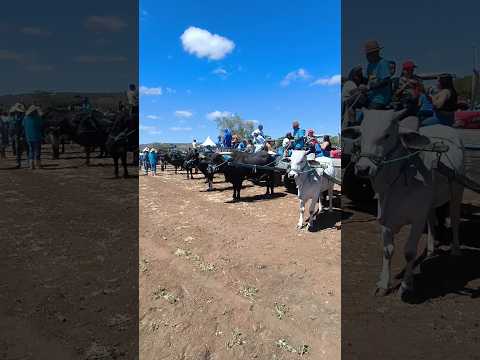 2 CARROCEATA DOS PRODUTORES RURAIS DE CATURITÉ PARAÍBA 2025#shorts