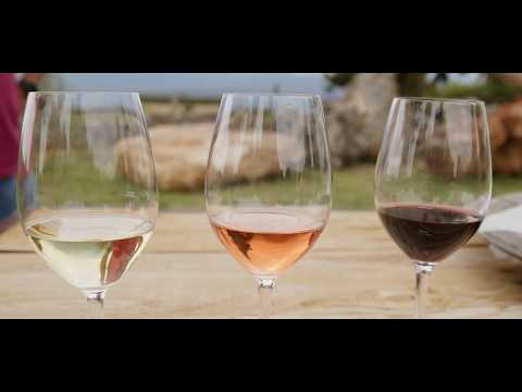 Oinoi SGB Markopoulo & Oinoi SGB Pieria