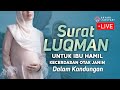 Surat Luqman Untuk Ibu Hamil Dan Kecerdasan Otak Janin Dalam Kandungan Semoga Ibu Dan Anak Sehat