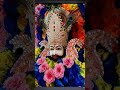 Maro Seth Bado Hi Dayalu Hai KhatuShyamBaba0383