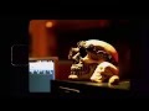 Collected Fiction (Lyric Video) - Pamphleteer