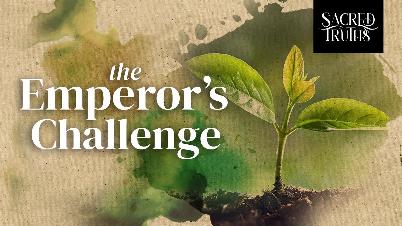 9. The Emperor's Challenge | Sh Ali Hammuda