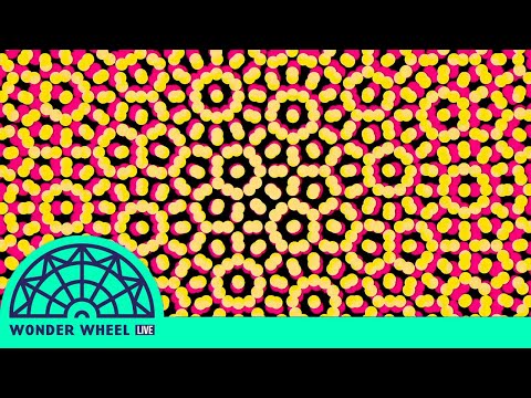 Hend - Ne Bileyim Gibiyim