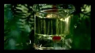 Disillusion - Gloria - Trailer 1