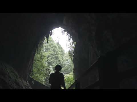 やまぐち映像図鑑 NO.007 秋芳洞［美祢市］| Akiyoshido [ Mine-City ]