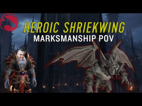 Echo Gingi, Castle Nathria Heroic Shriekwing - Marksmanship Hunter PoV