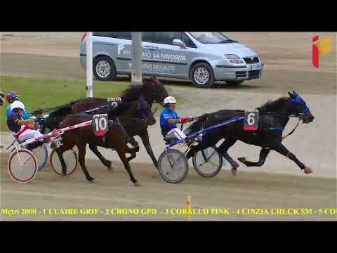 II Corsa del 12 novembre 2022 - 4 Anni - Metri 2000