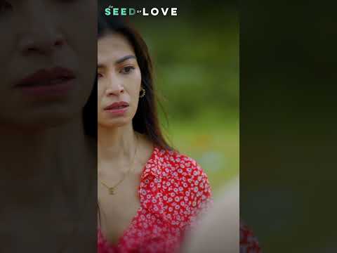 Selos pa more! #shorts The Seed of Love