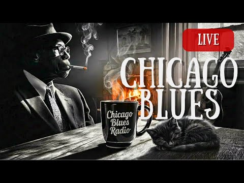 Calm Chicago Blues Radio 24/7 🔥 Cozy Fireplace Blues (Live)