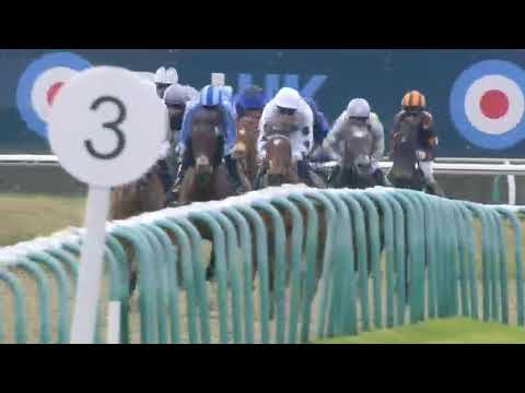 6 Race Lingfield( SOVEREIGN KNIGHT )11 Feb 2024