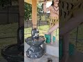 Ennappan Allava Enthayum Allava Om Namah Shivaya Shorts