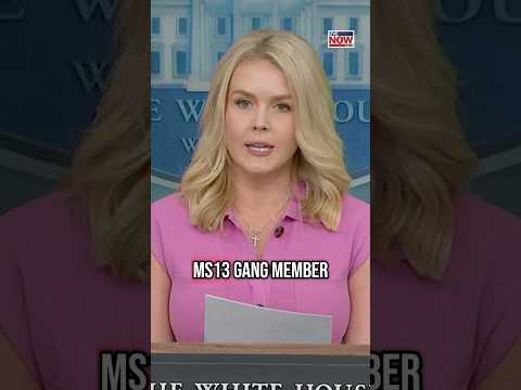 Video | Karoline Leavitt calls Kilmar Abrego Garcia an "illegal alien, MS-13 gang member"