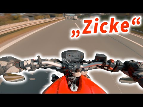 DUCATI MONSTER 821 | Top Speed, Sound, Performance [4K]