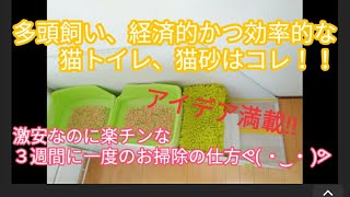経済的かつ効率的な、猫トイレ、猫砂はコレ！