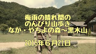 2015.6.21 梅雨の晴れ間の山のみち:なか・やちよの森公園~黒木山