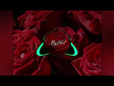 Finally found | NP HEAVEN |