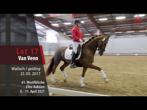 61. Elite-Auktion Trainingsvideo Lot 17 Van Venn Wallach v. Vitalis - Stedinger