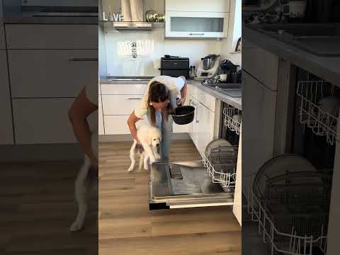 Et puis elle se sent lave-vaisselle si elle veut quoi 😂