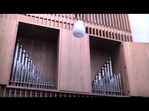 33. So. i. Jahreskreis - Einzug - 14.11.2010 GL 119/1