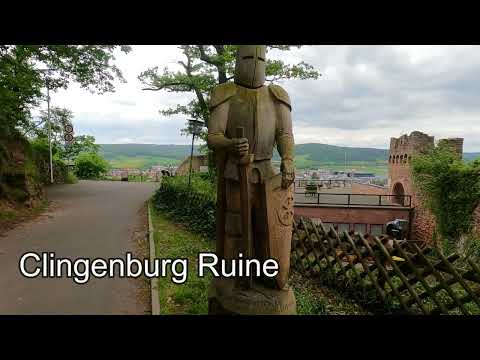 Ein Teil von Rotweinwanderweg + Aussichtsturm Klingenberg am Main