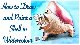 Watercolour Shell Painting | How to Draw a Shell | Shell Drawing | Watercolor Basics | Demonstration