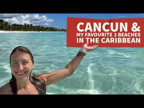 The best beaches near Playa del Carmen, Cancun city and what is sargasso in the Caribbean coast