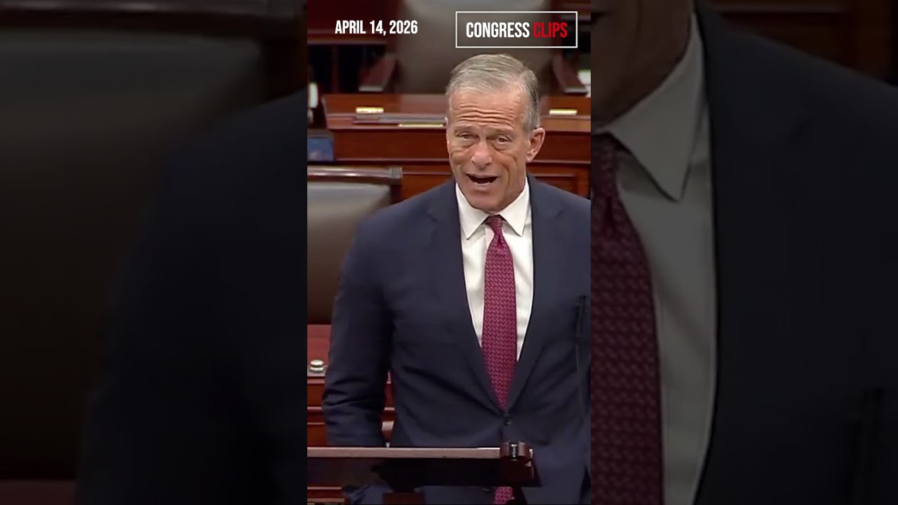 Sen. Thune Slams Dems for Weak Voter ID Standards
